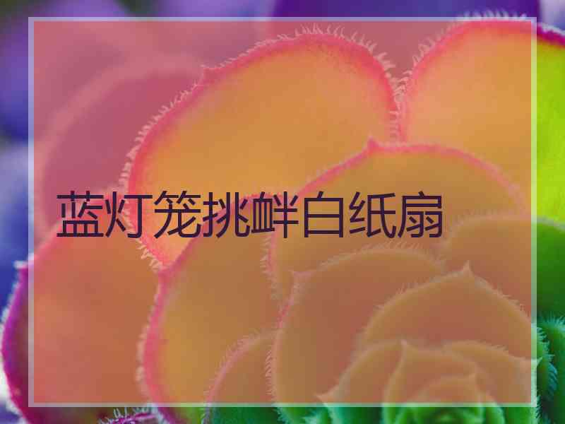 蓝灯笼挑衅白纸扇