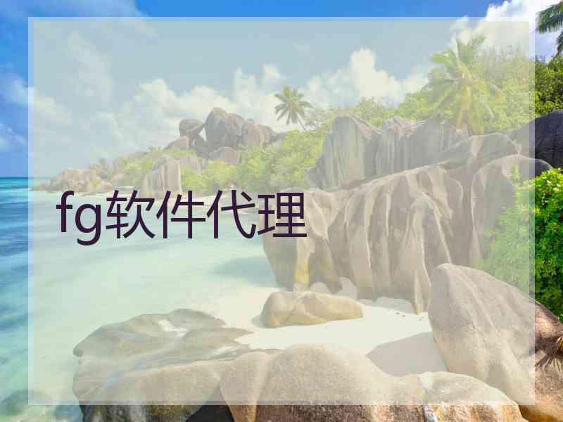 fg软件代理