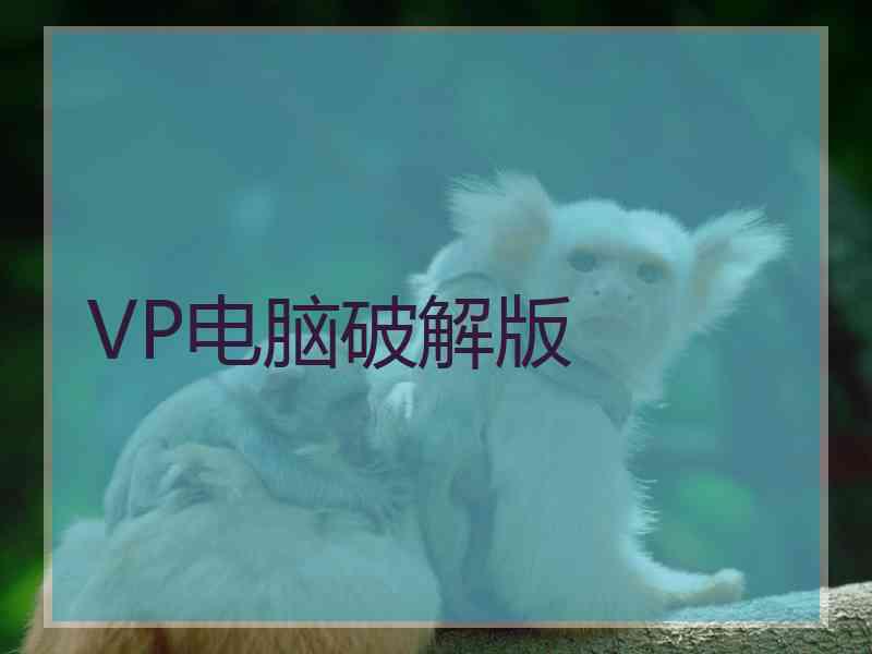 VP电脑破解版