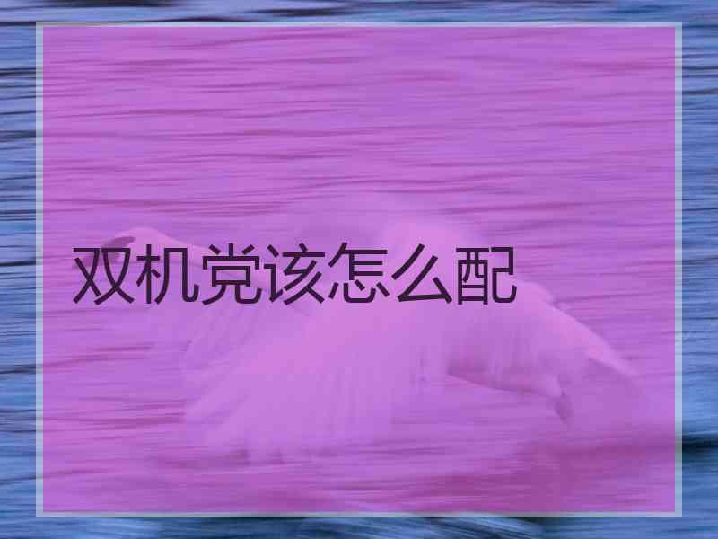 双机党该怎么配