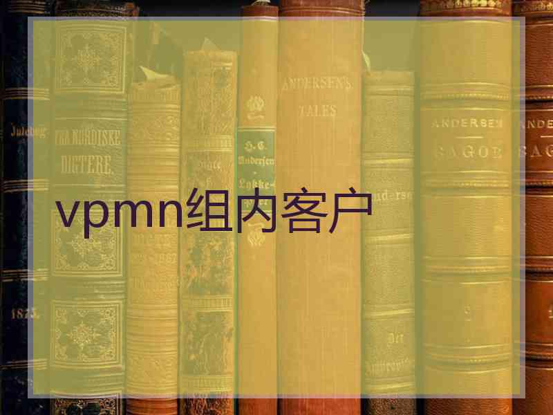 vpmn组内客户