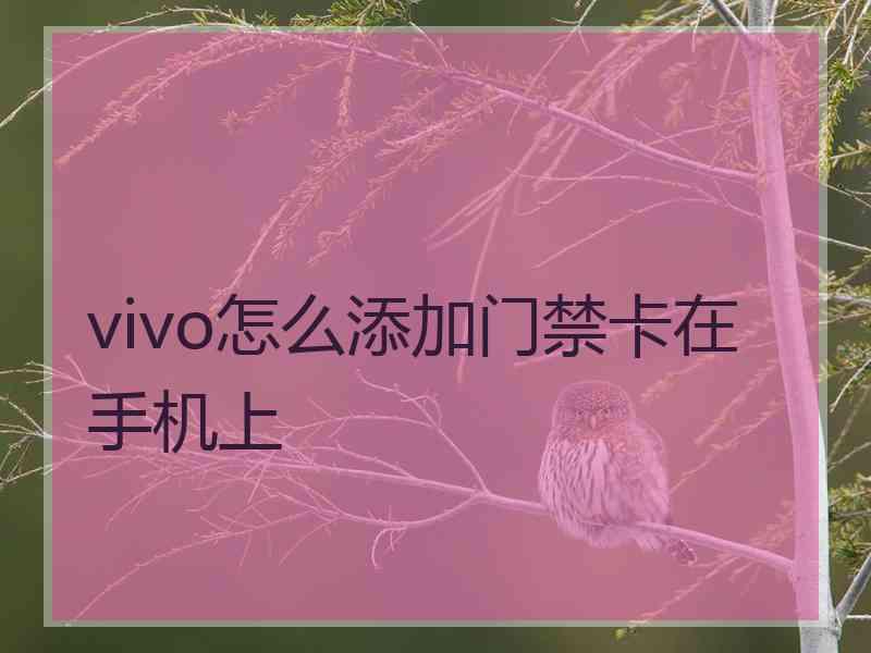 vivo怎么添加门禁卡在手机上
