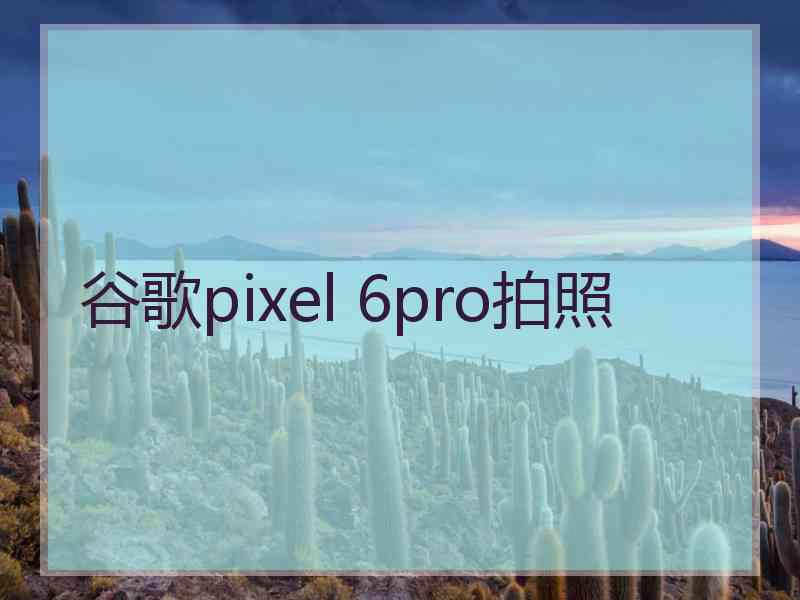 谷歌pixel 6pro拍照
