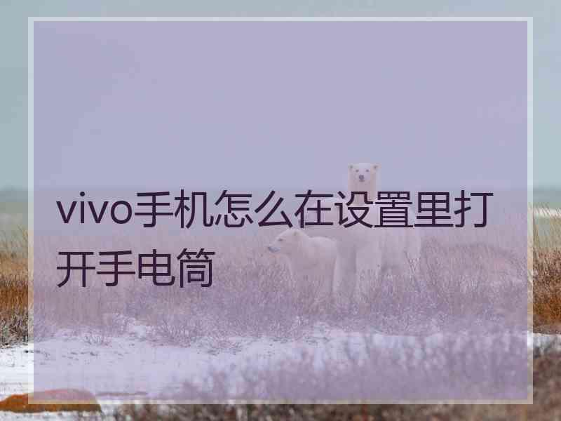 vivo手机怎么在设置里打开手电筒
