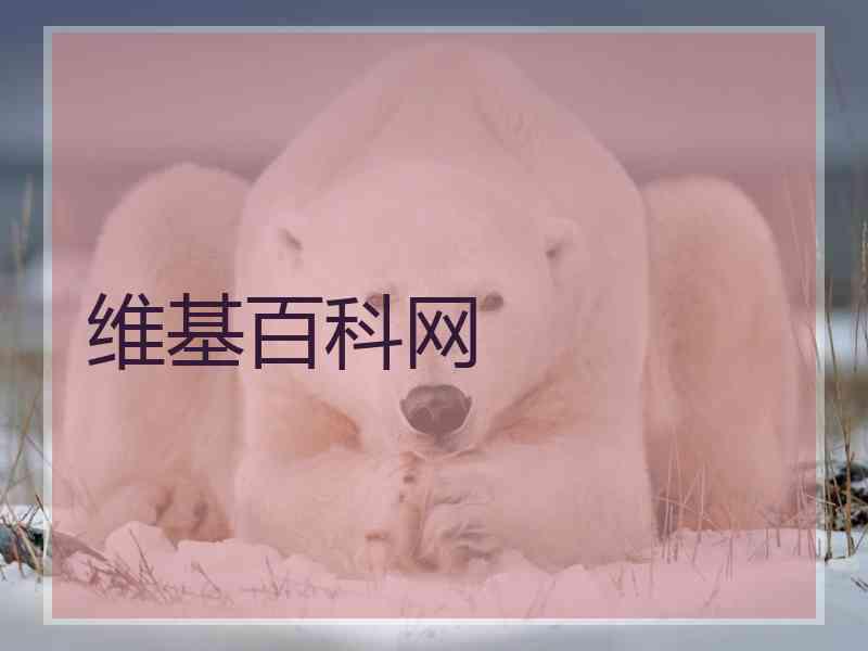 维基百科网
