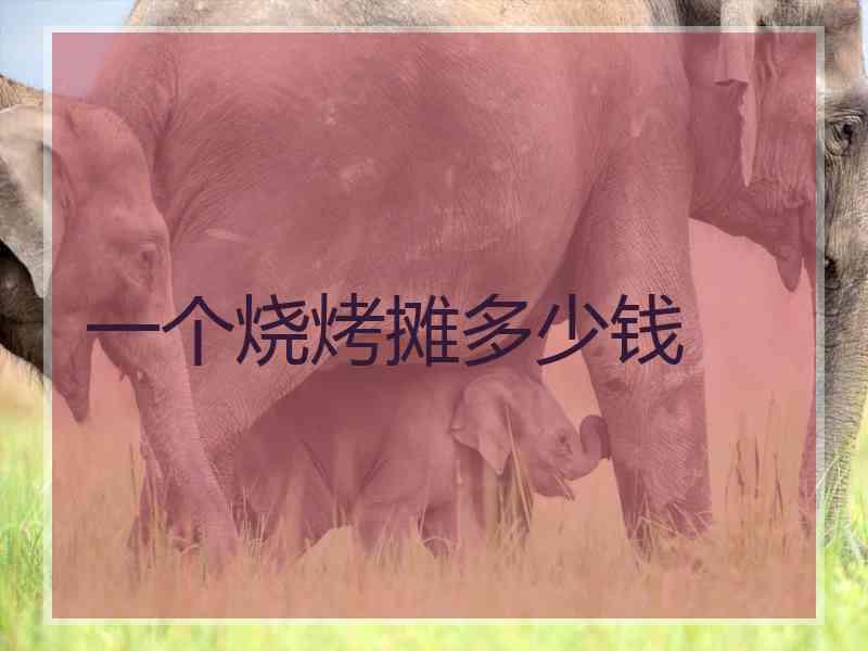 一个烧烤摊多少钱