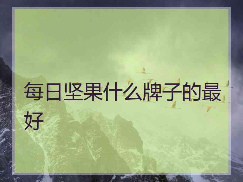 每日坚果什么牌子的最好