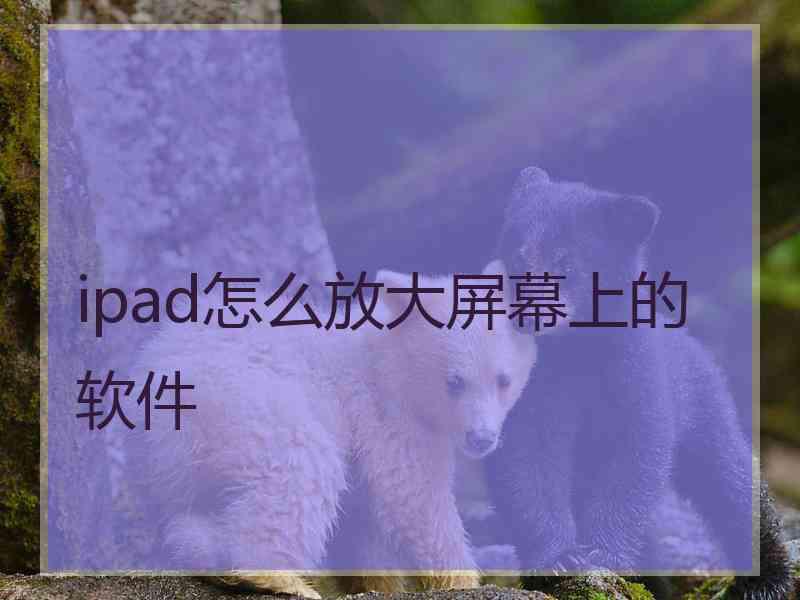 ipad怎么放大屏幕上的软件