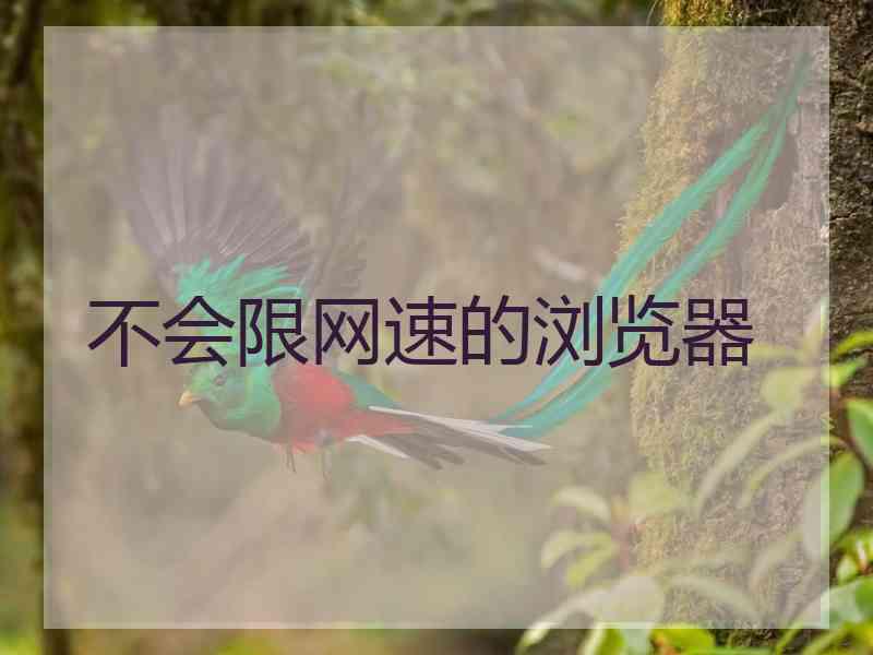 不会限网速的浏览器