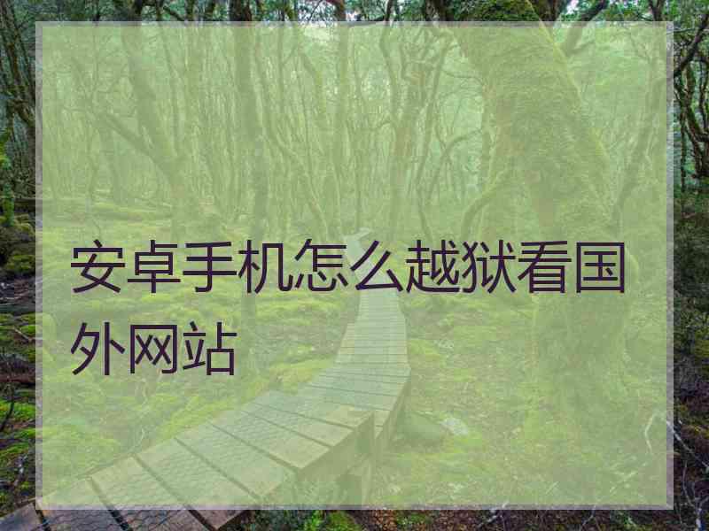 安卓手机怎么越狱看国外网站