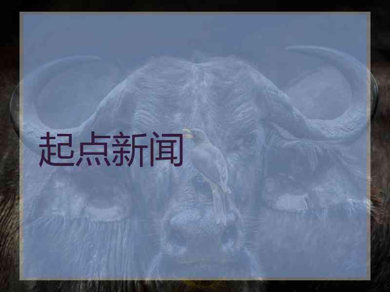 起点新闻