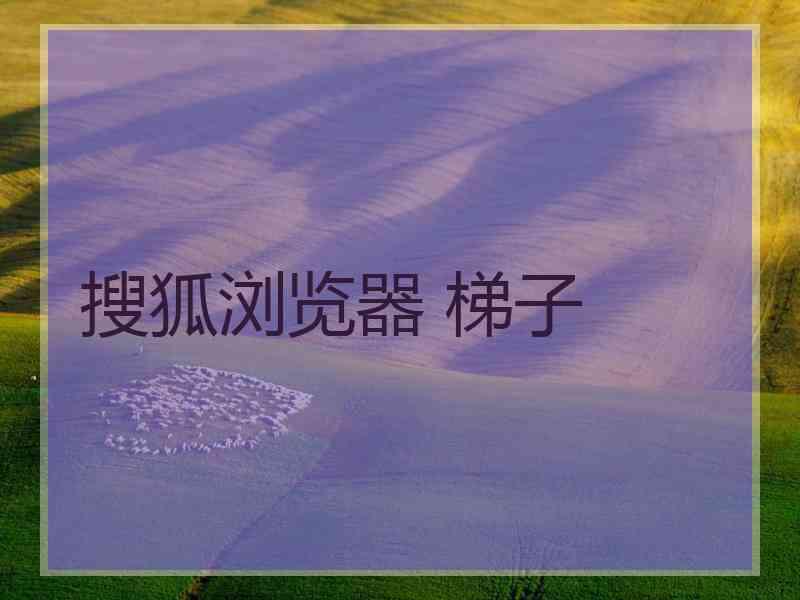 搜狐浏览器 梯子