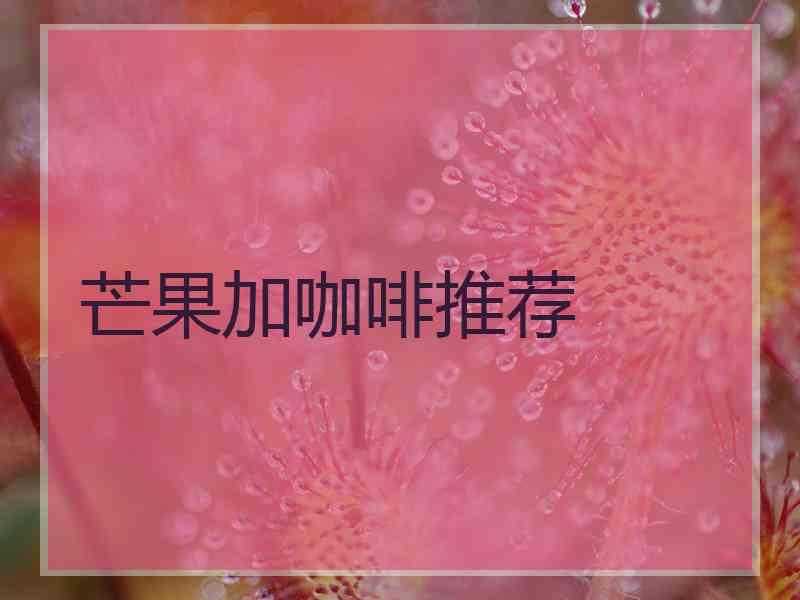 芒果加咖啡推荐