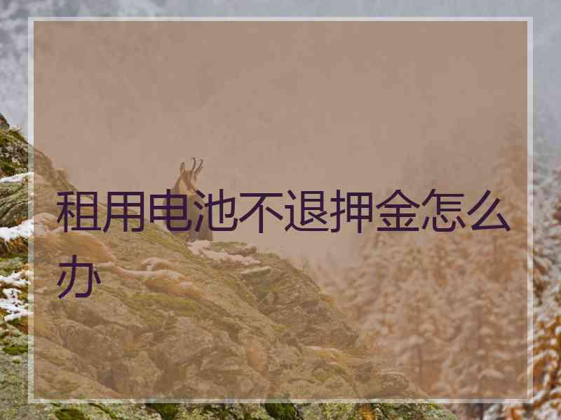 租用电池不退押金怎么办