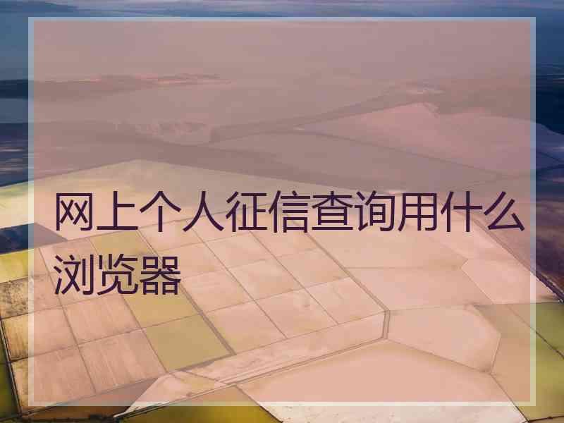 网上个人征信查询用什么浏览器