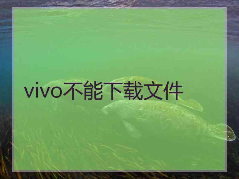 vivo不能下载文件