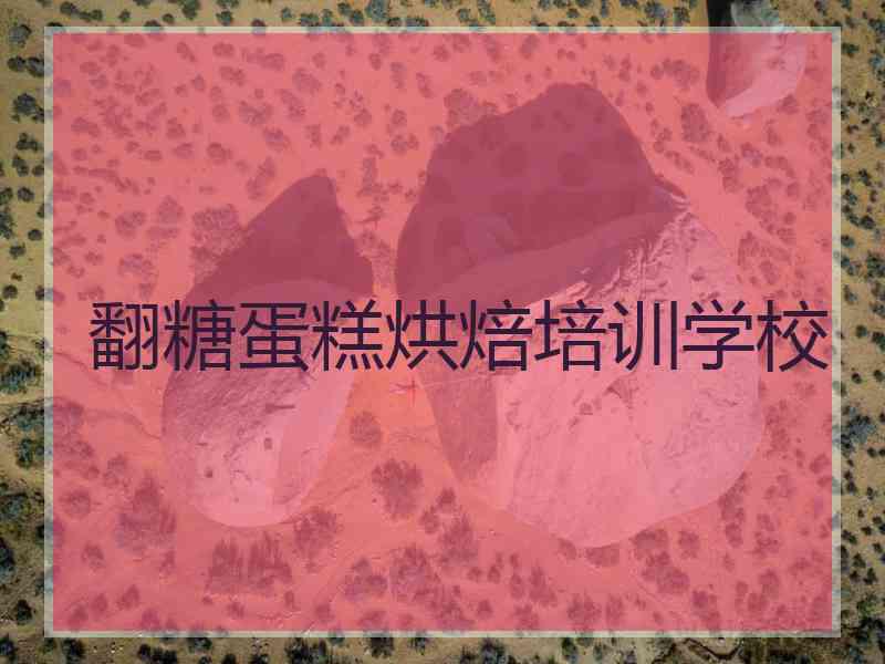 翻糖蛋糕烘焙培训学校