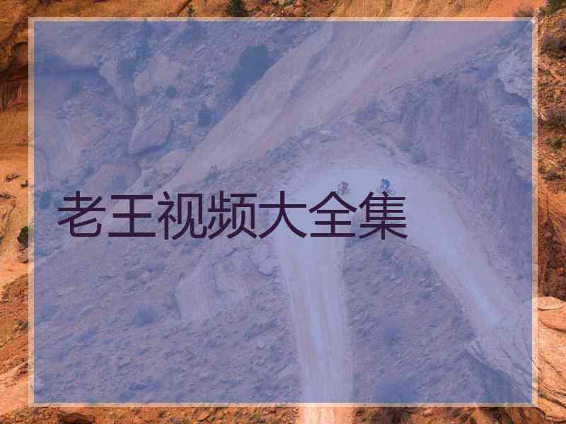老王视频大全集