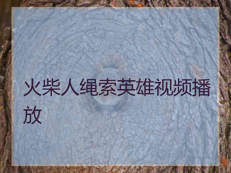 火柴人绳索英雄视频播放