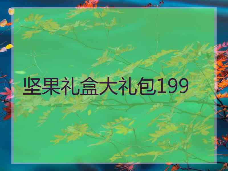 坚果礼盒大礼包199