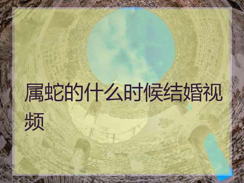 属蛇的什么时候结婚视频