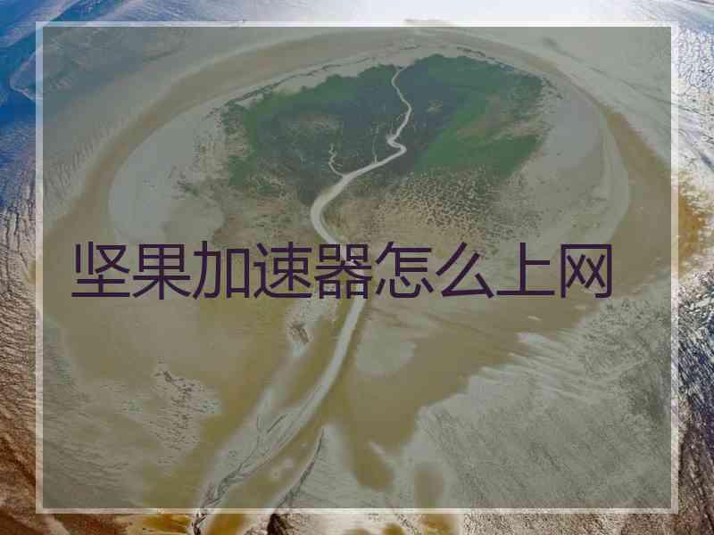 坚果加速器怎么上网