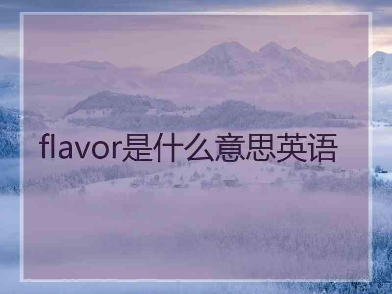 flavor是什么意思英语