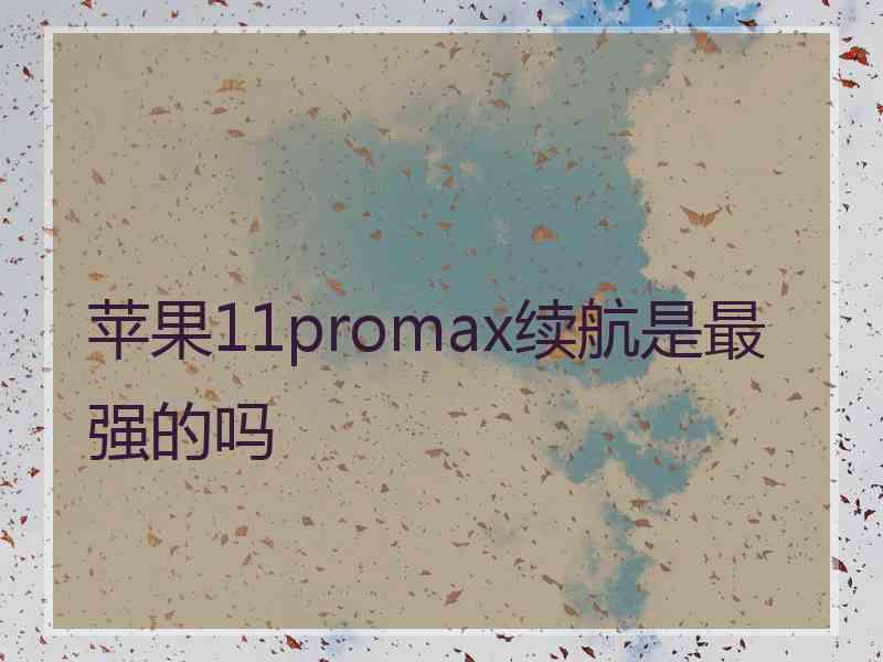 苹果11promax续航是最强的吗