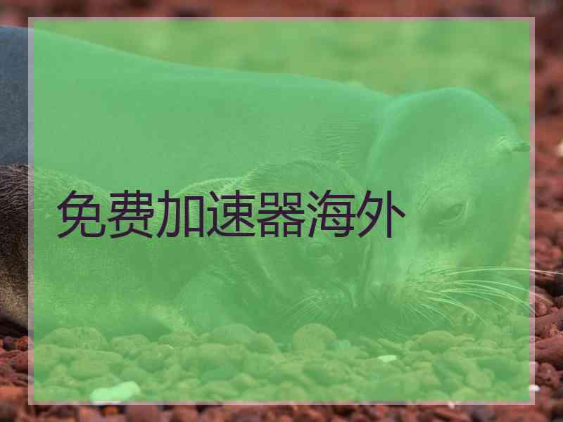 免费加速器海外