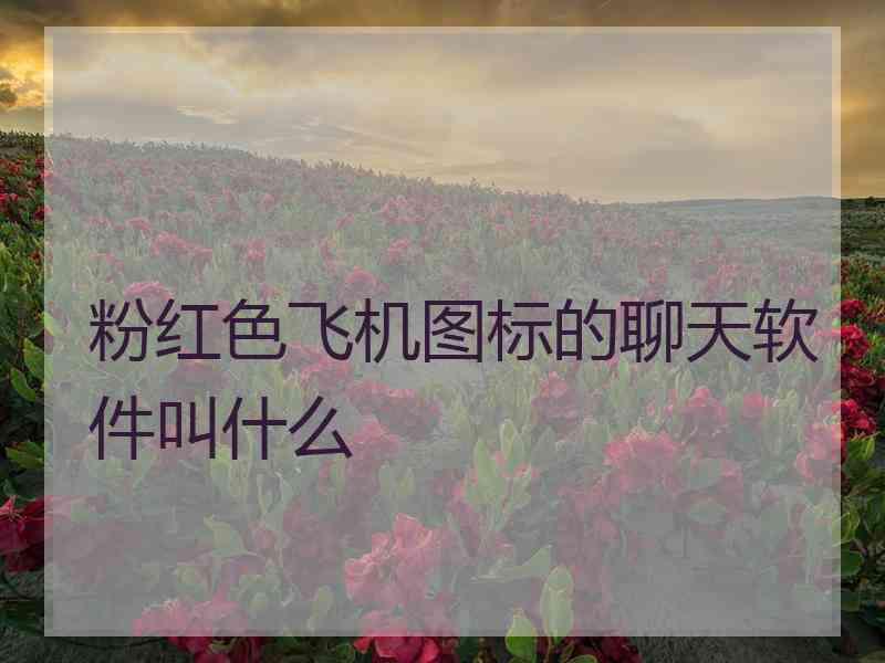 粉红色飞机图标的聊天软件叫什么