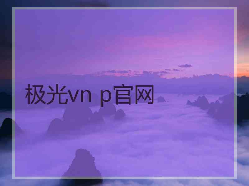 极光vn p官网