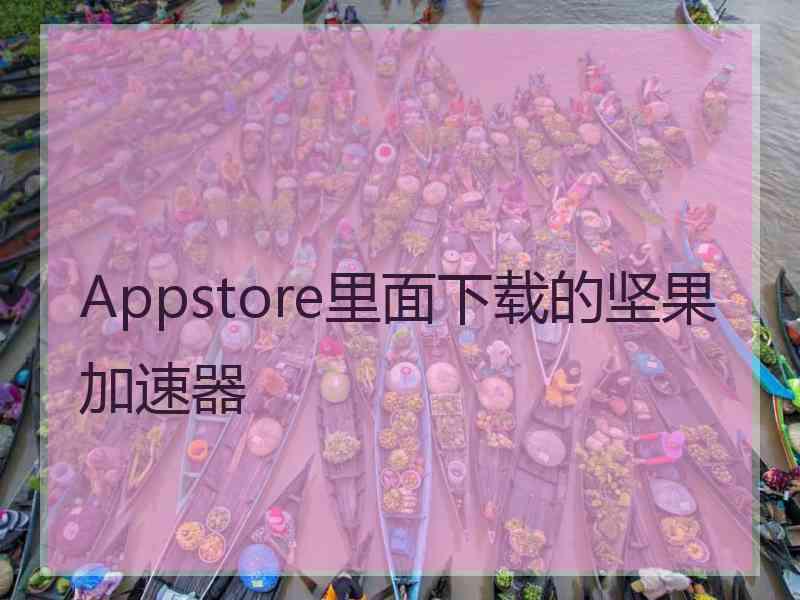 Appstore里面下载的坚果加速器
