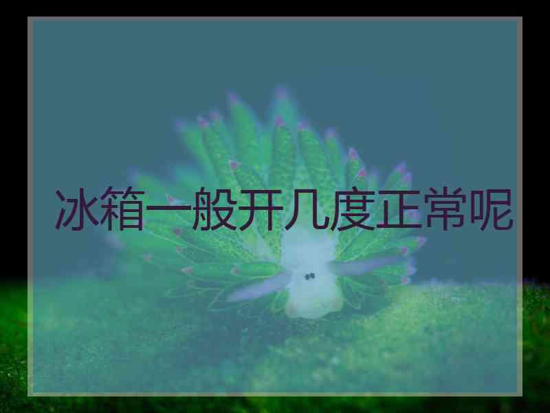 冰箱一般开几度正常呢