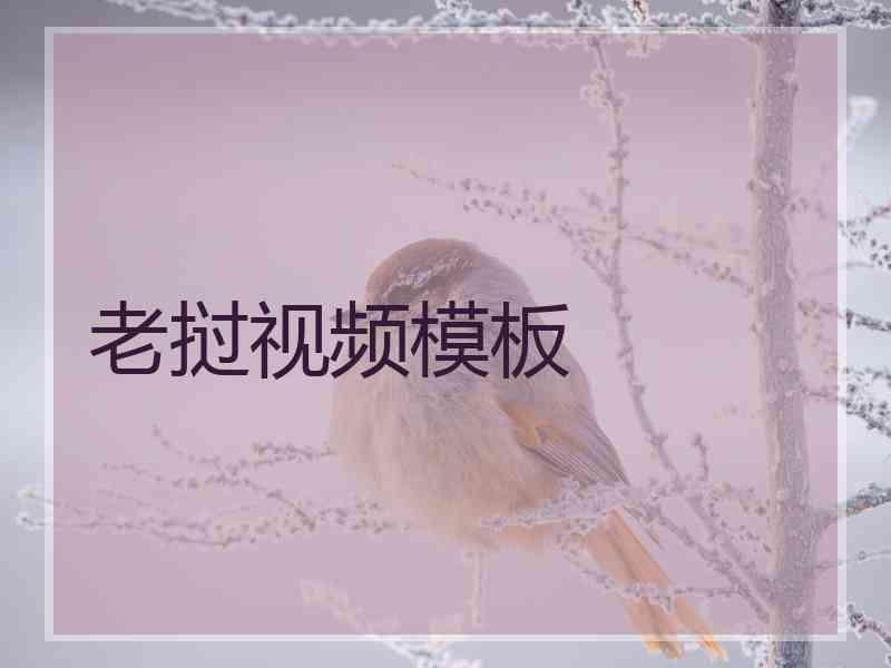 老挝视频模板