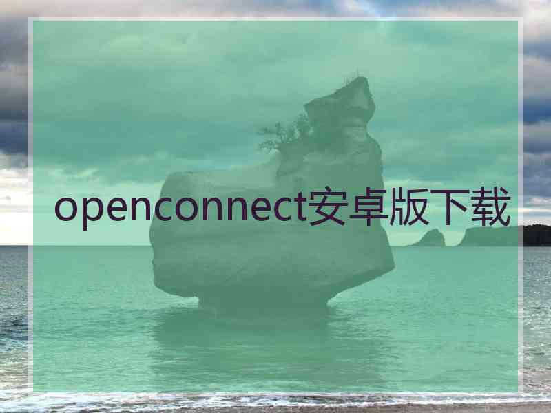openconnect安卓版下载