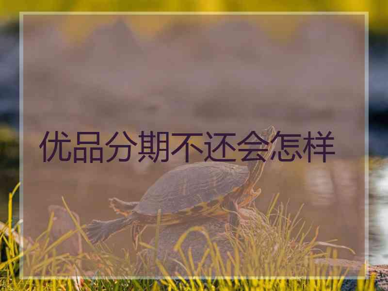 优品分期不还会怎样