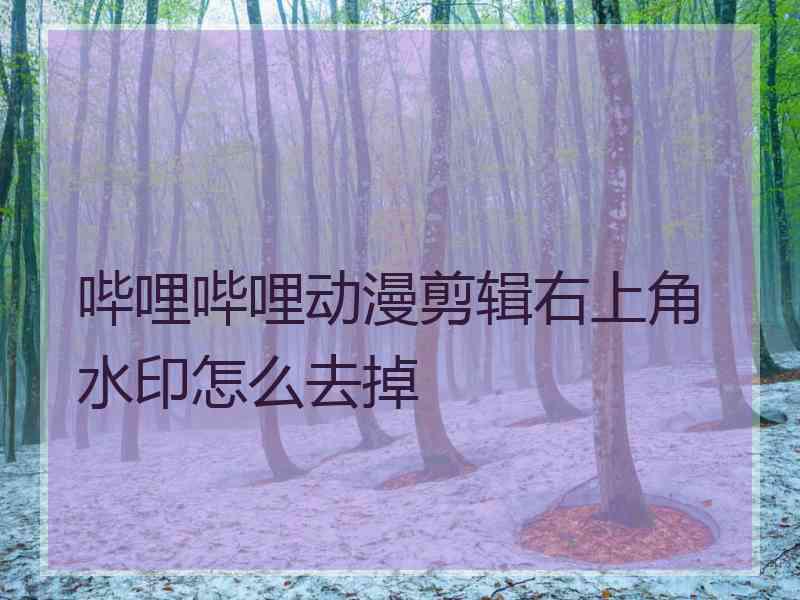 哔哩哔哩动漫剪辑右上角水印怎么去掉