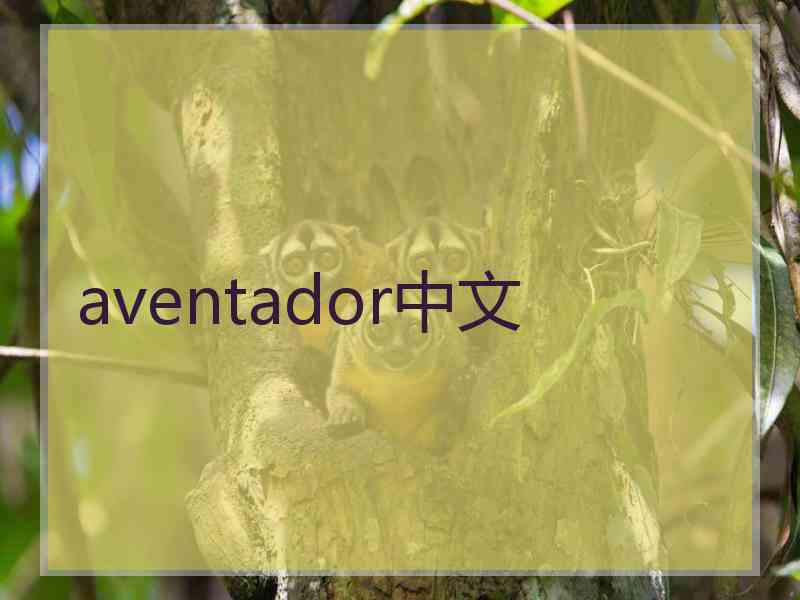 aventador中文