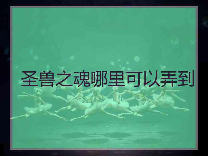 圣兽之魂哪里可以弄到