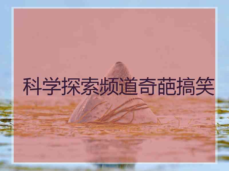 科学探索频道奇葩搞笑