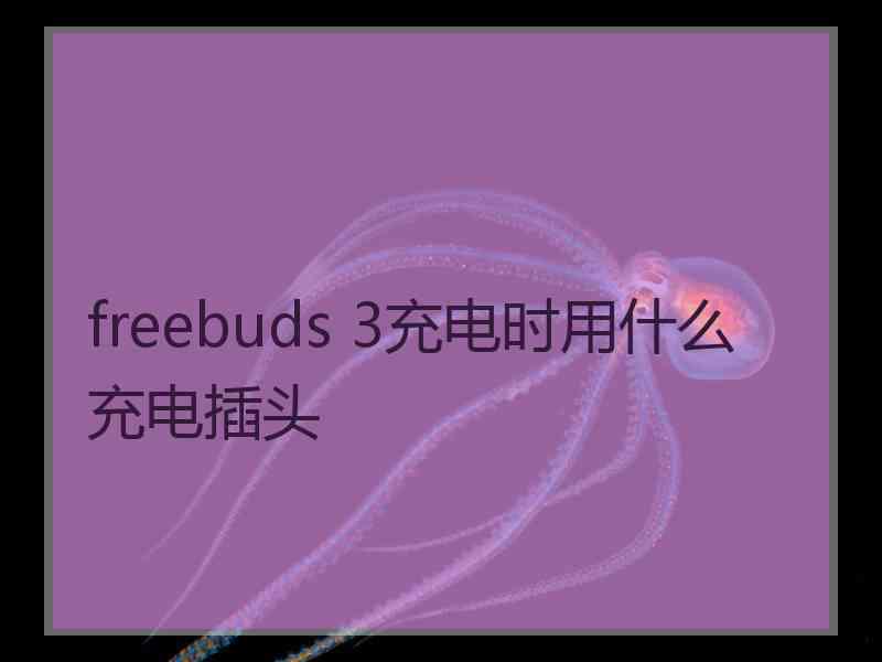 freebuds 3充电时用什么充电插头