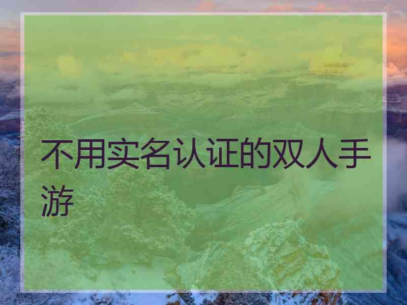 不用实名认证的双人手游