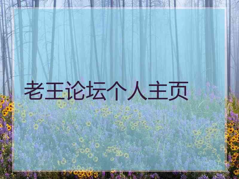 老王论坛个人主页