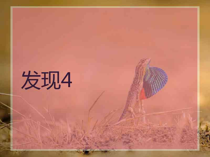 发现4
