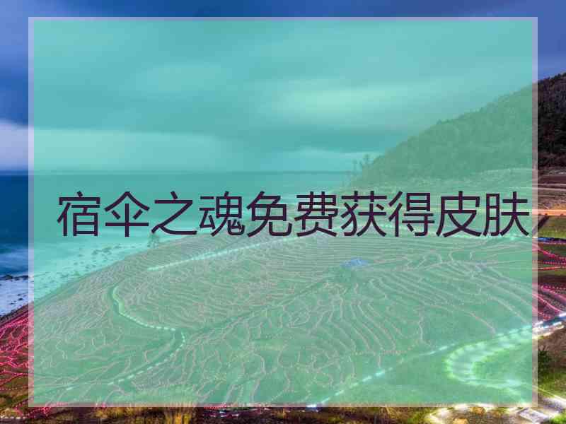 宿伞之魂免费获得皮肤