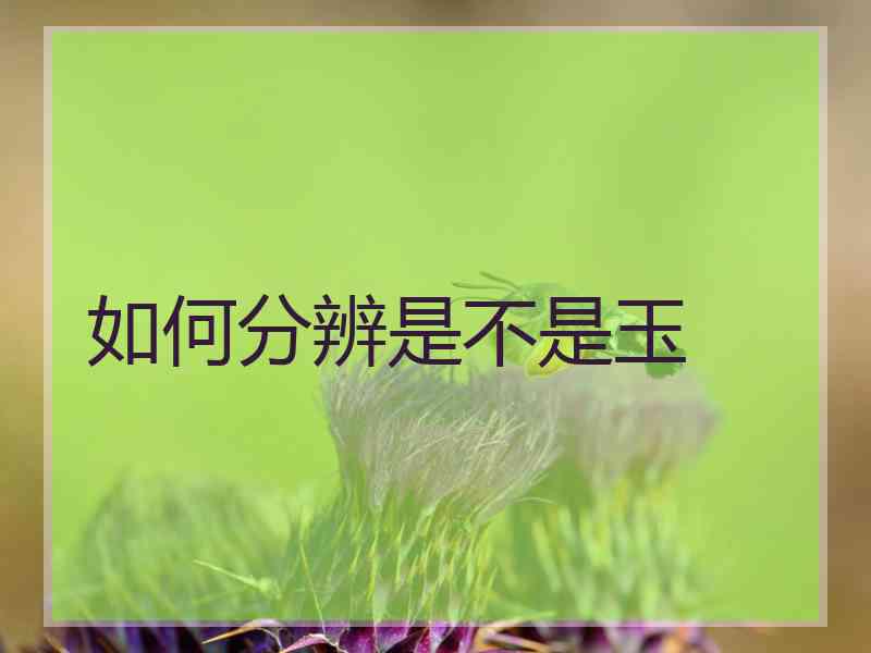 如何分辨是不是玉
