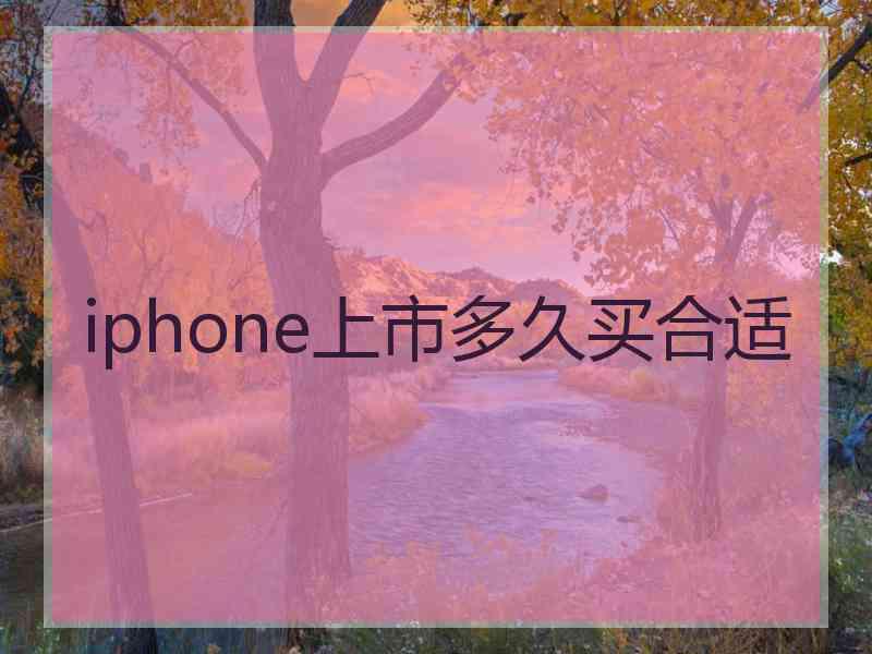 iphone上市多久买合适