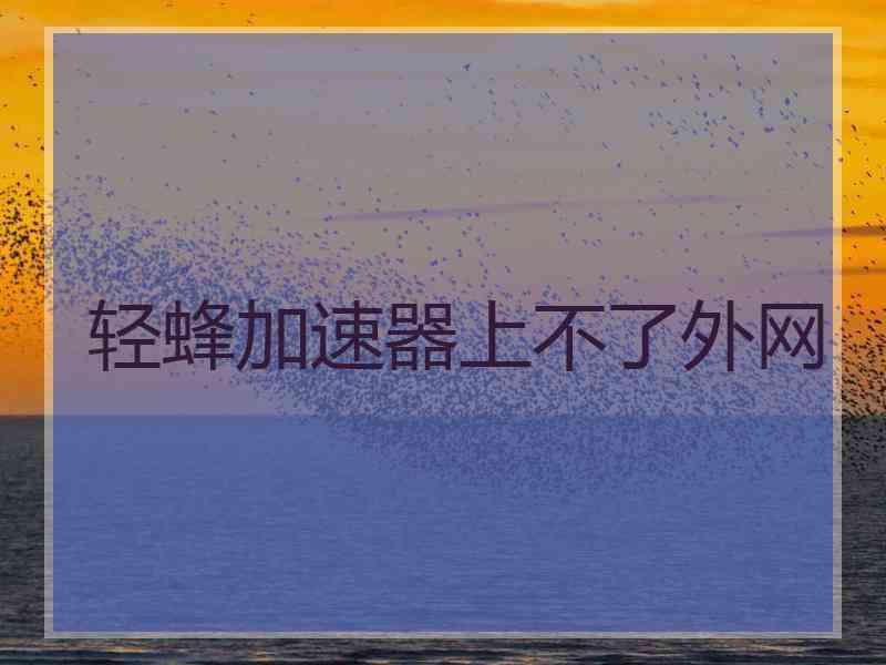 轻蜂加速器上不了外网