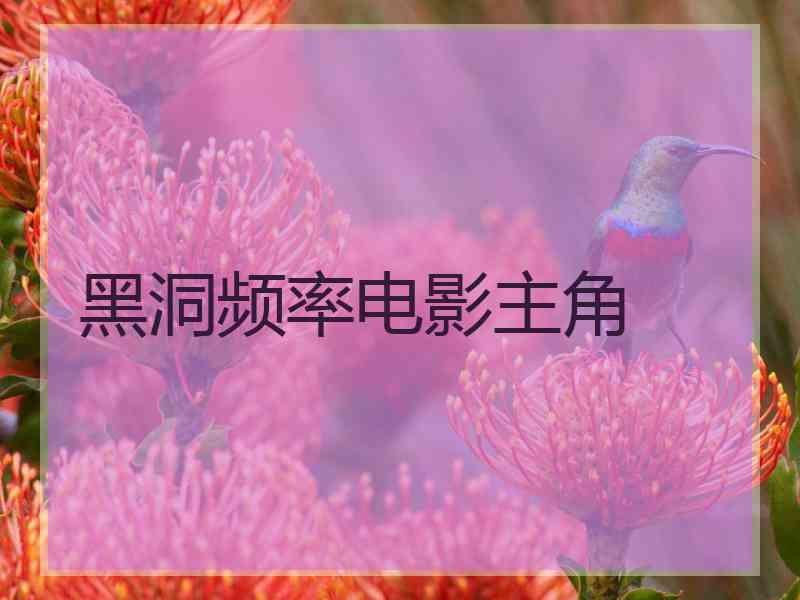 黑洞频率电影主角