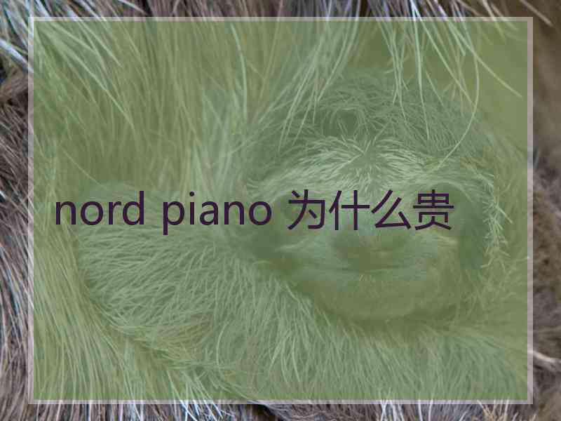nord piano 为什么贵
